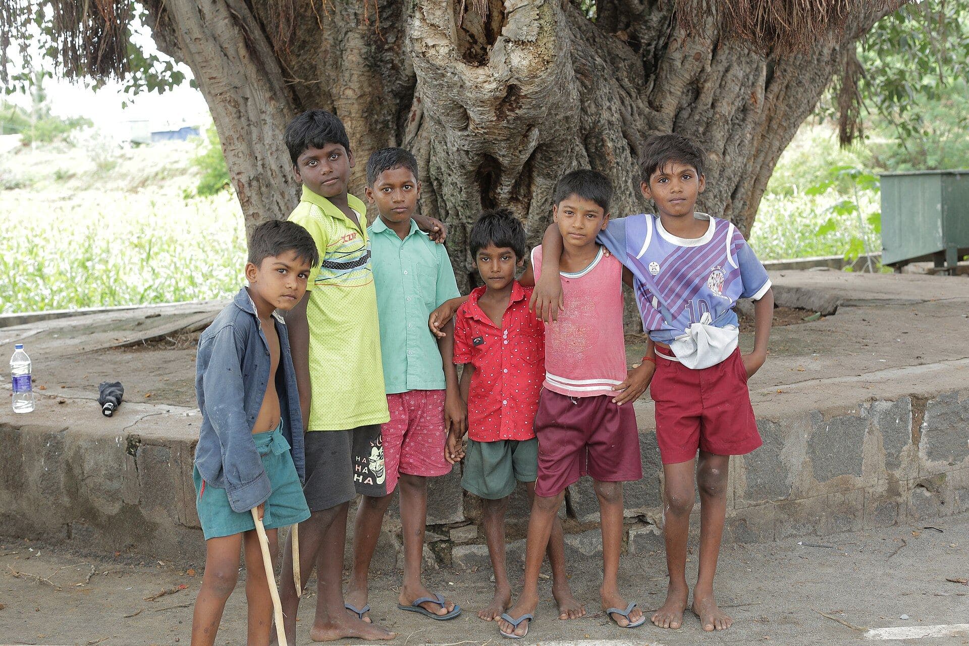 Children under a banyan tree